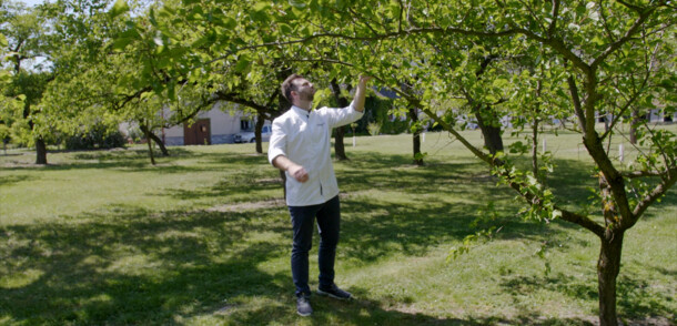     Hood chef Philipp Essl in the apricot garden country inn Essl Wachau Niederösterreich 